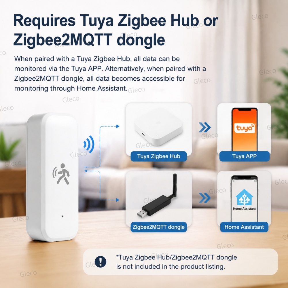 Zigbee aanwezigheidsbewegingss - Tasmota recensie en prijs