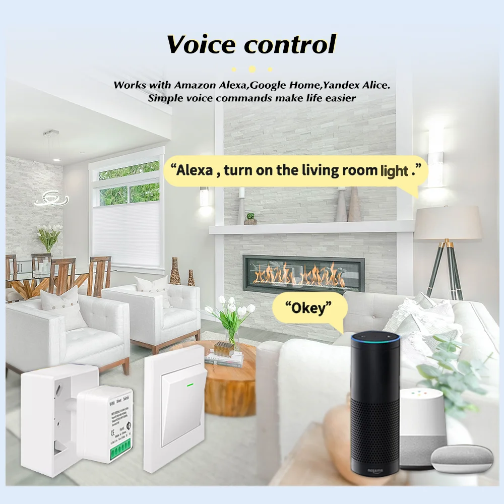 Voor Tuya Mini Smart WiFi Scha - Smart Relay Tuya recensie en prijs