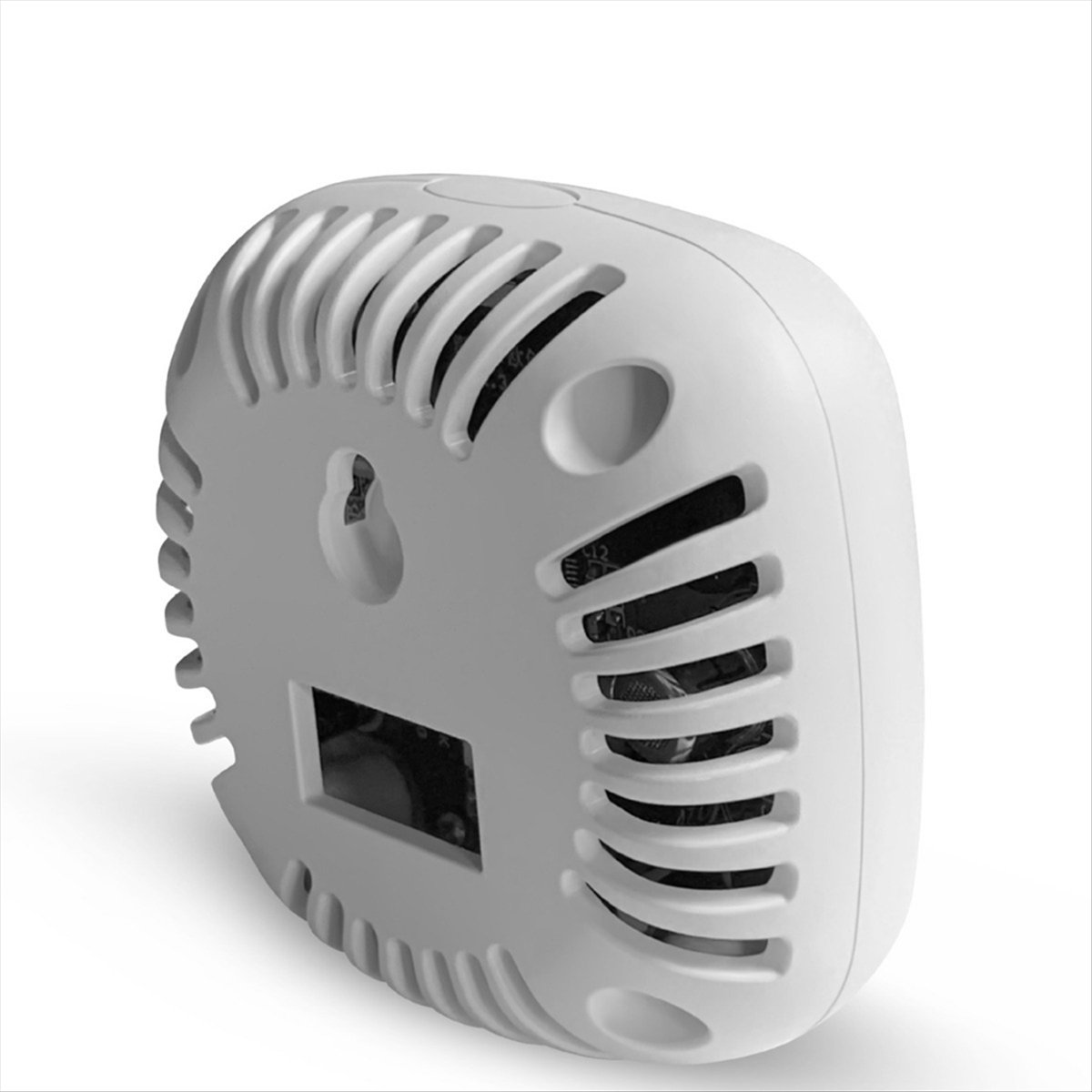 [Y39A] Tuya WIFI Brandbaar gas - Tuya Smart recensie en prijs